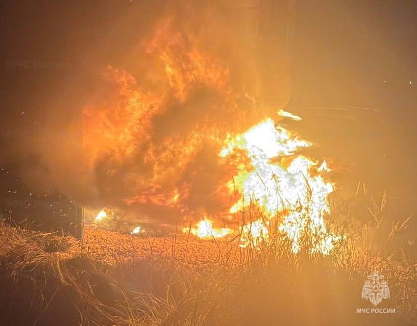 На улице Лесной в Жукове ночью сгорел автомобиль