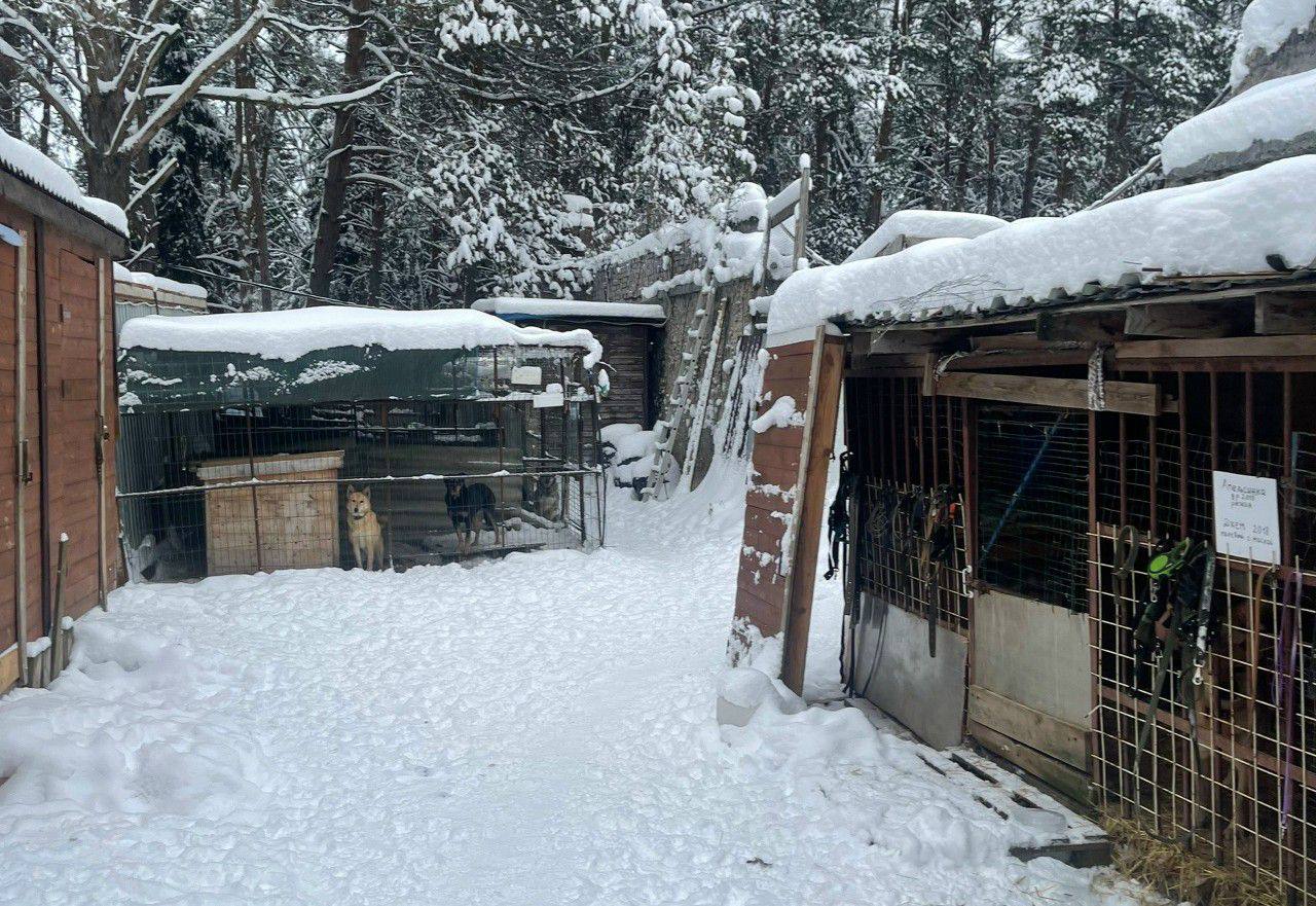 Новый Ковчег просит помощи в уборке

Речь и о снеге, и о мусоре. Дежурные не справляются с практи...