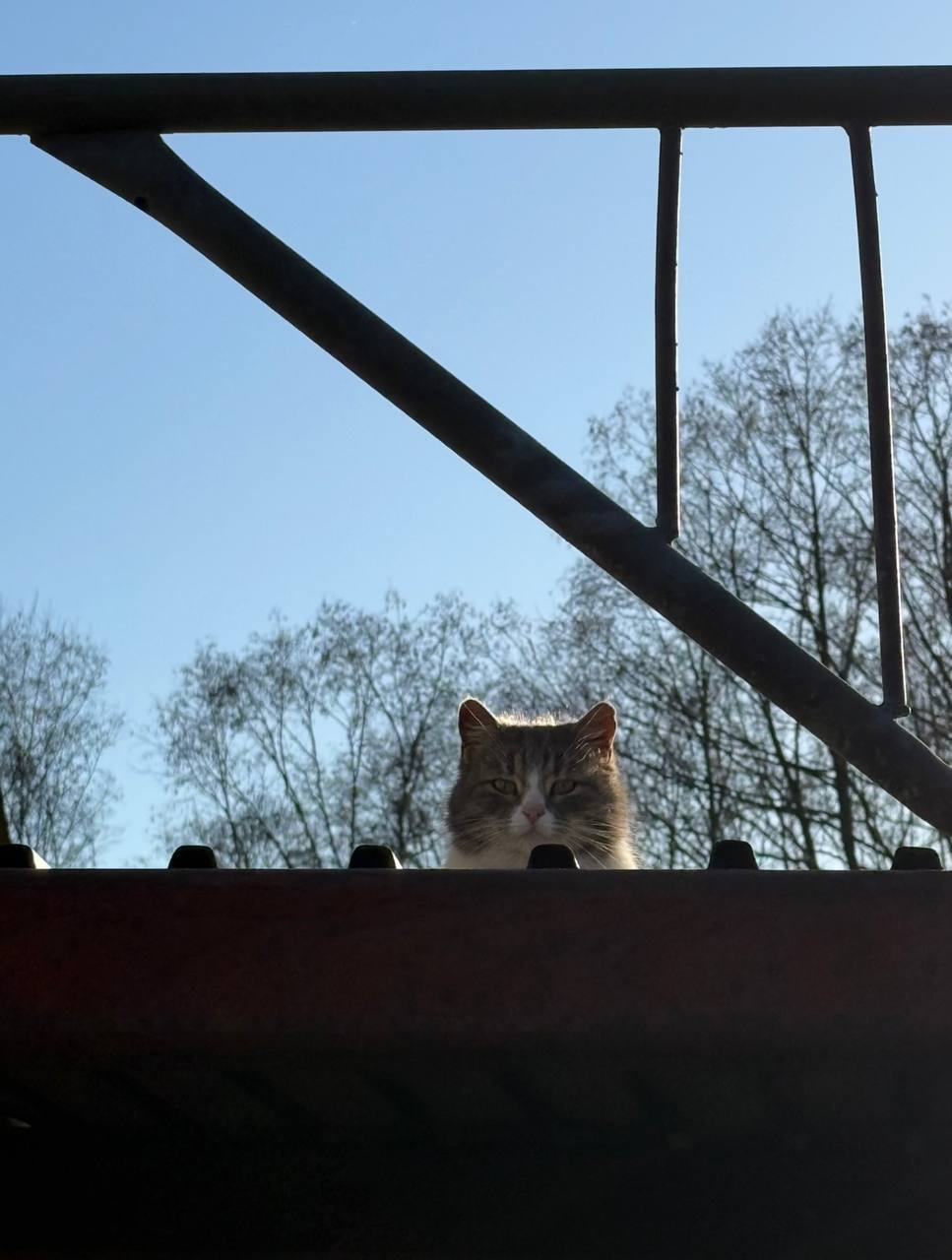 В Калуге зафиксирован температурный рекорд за последние 100 лет. 1 марта температура воздуха дост...