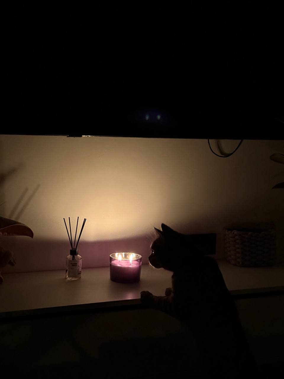 Балабаново в темноте!

Авария на сетях оставила без света почти весь город. По словам диспетчеров...