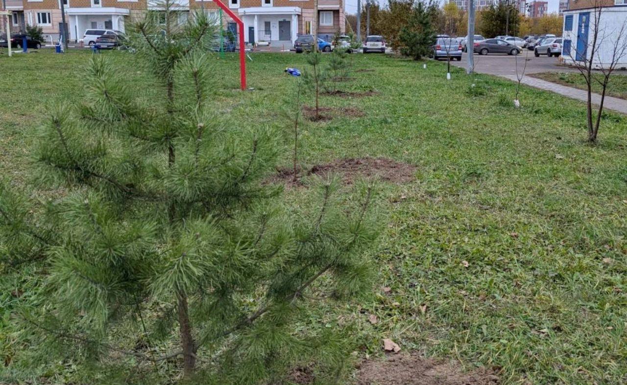 Обнинск станет зеленее!

Мэр Перевалов поручил разработать план озеленения. Город прорабатывает д...