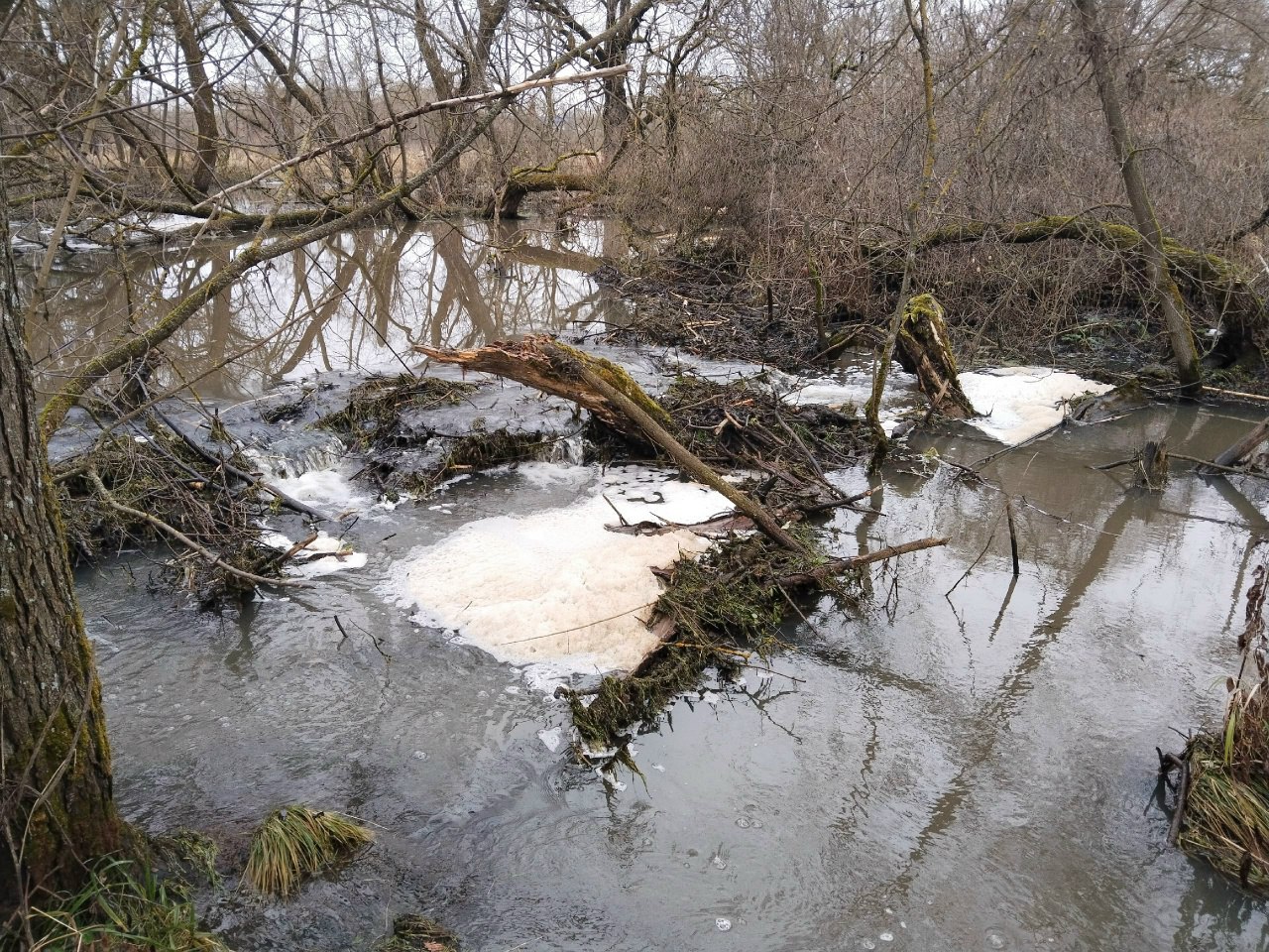 «Что с Минприроды?» — иронично спрашивают жители Жукова. Неделю назад они снова выложили фото сли...